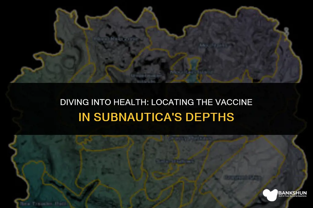 where to find the vaccine in subnautica