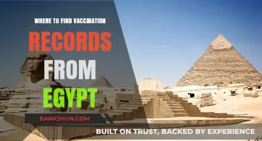Locating Your Vaccination Records in Egypt: A Comprehensive Guide