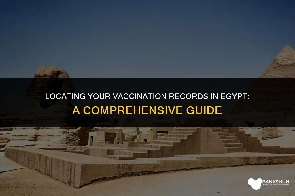 where to find vaccination records from egypt