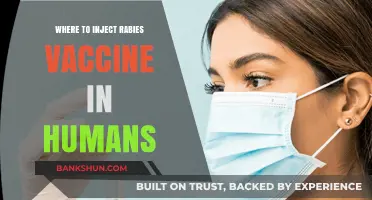 Safe and Effective Rabies Vaccine Injection Sites for Humans
