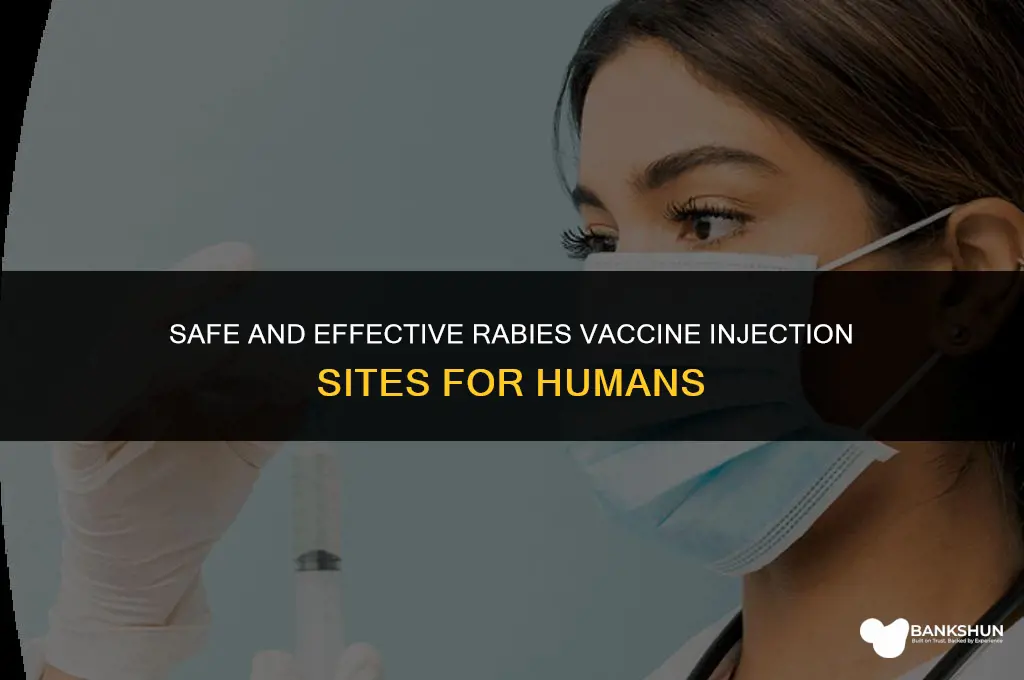 where to inject rabies vaccine in humans