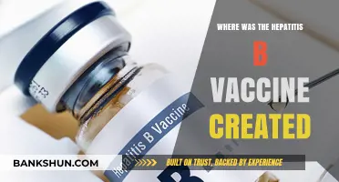 Unveiling the Origins: The Creation of the Hepatitis B Vaccine
