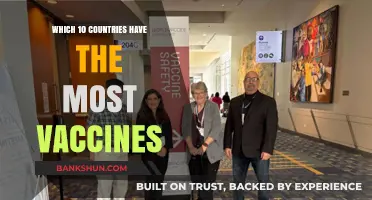 Global Vaccine Leaders: Top Nations in Immunization Efforts