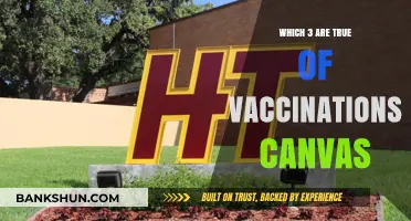 Unraveling Misconceptions: The Truth Behind Vaccinations on Canvas