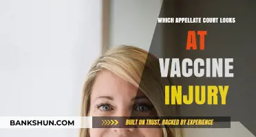 Navigating Vaccine Injury Cases: Which Appellate Court Has Jurisdiction?