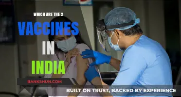 Exploring India's Vaccine Arsenal: A Look at the Top Two Contenders