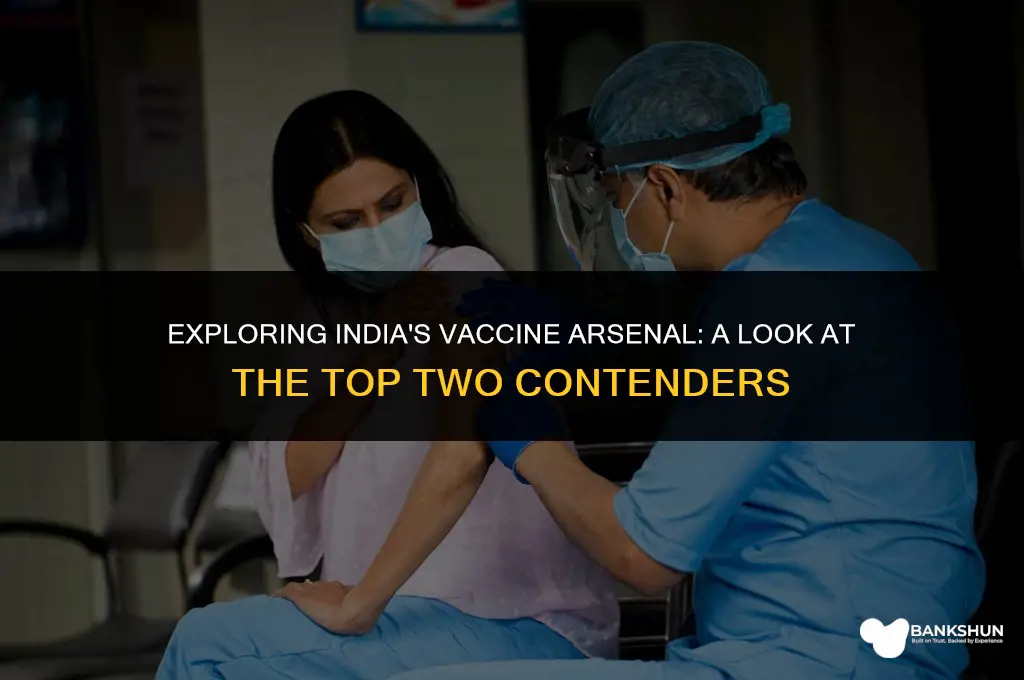 which are the 2 vaccines in india