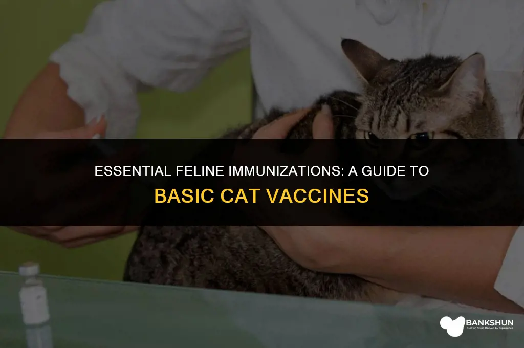 which are the basic vaccines for cats