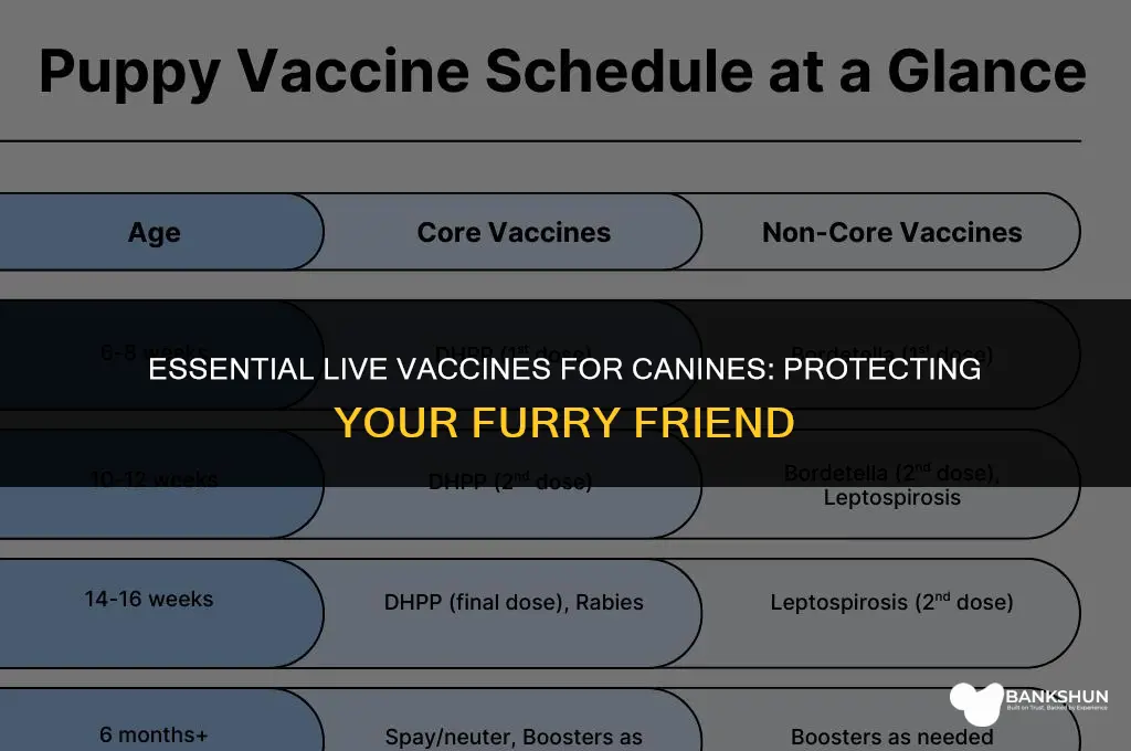 which are the live vaccines for canines