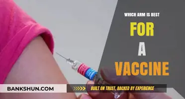 Decoding the Debate: Which Arm Reigns Supreme for Vaccines?
