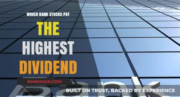 Best Bank Stocks for Dividend Investors