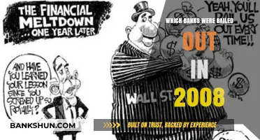 The 2008 Bailout: Banks Rescued by the Government