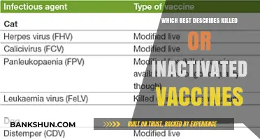 Understanding Killed vs. Inactivated Vaccines: A Comprehensive Guide