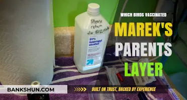 Vaccinating Marek's Parents: A Layered Approach to Avian Health