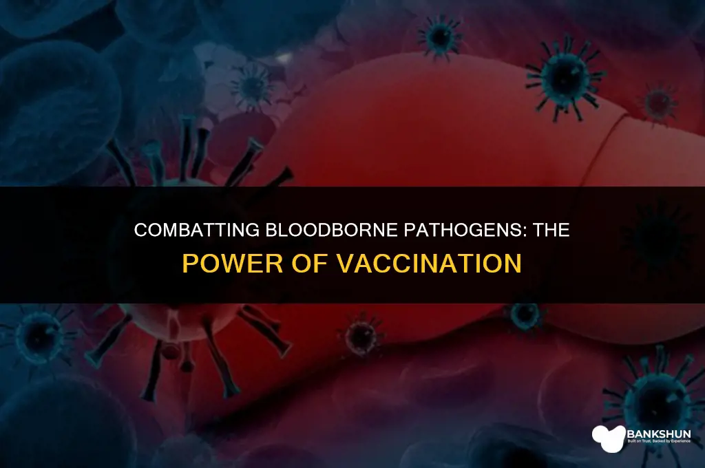 which blood borne pathogen has a vaccine