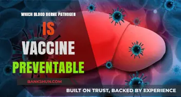 Vaccine-Preventable Bloodborne Pathogens: A Comprehensive Guide
