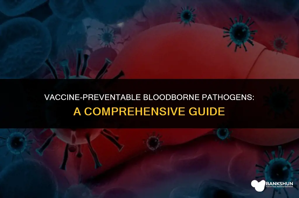 which blood borne pathogen is vaccine preventable