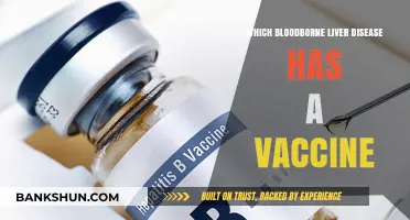 Vaccine-Preventable Liver Disease: A Comprehensive Guide