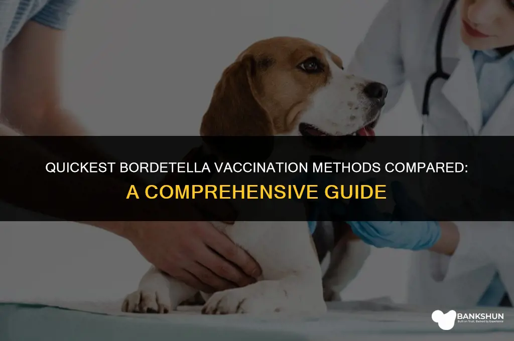 which bordetella vaccination way is the quickest