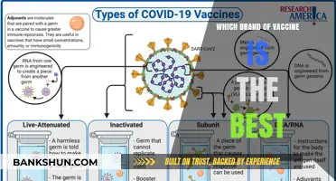 Decoding the Best Vaccine Brand: A Comprehensive Guide