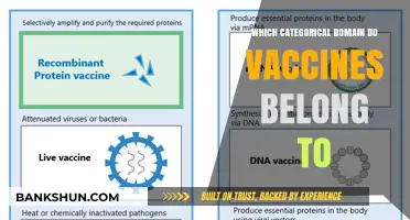Exploring the Categorical Domain of Vaccines: A Comprehensive Guide