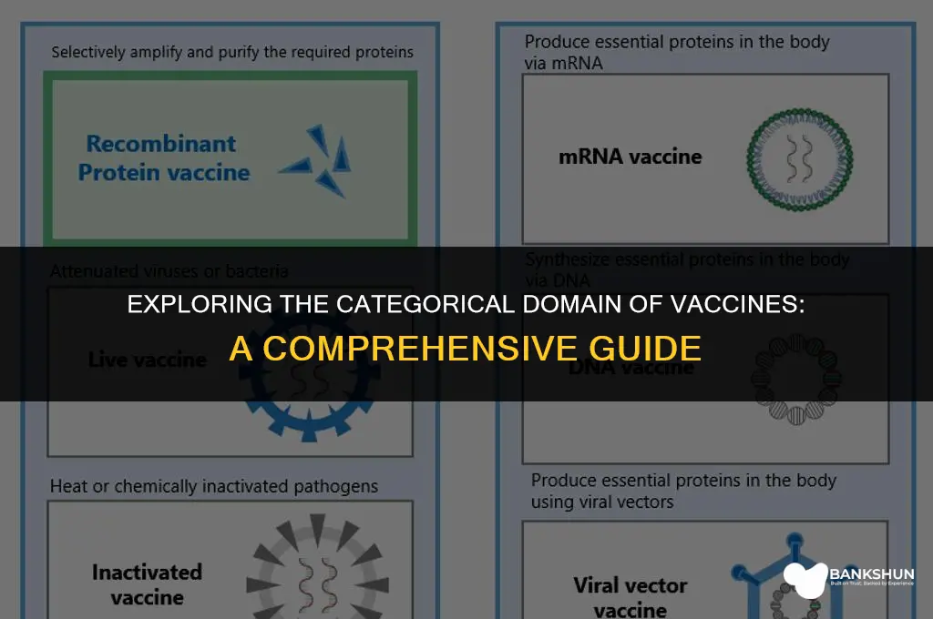 which categorical domain do vaccines belong to