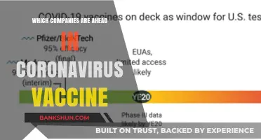 Front Runners in the Race for a Coronavirus Vaccine