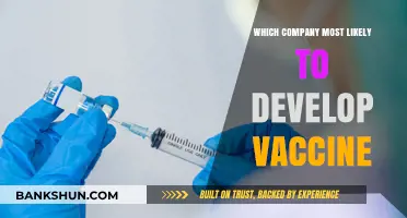 Front-Runners in the Race to Develop a Vaccine: A Comprehensive Analysis