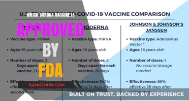 FDA-Approved COVID-19 Vaccines: A Comprehensive Guide