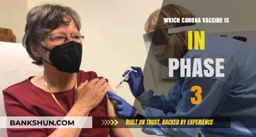 Advancements in COVID-19 Vaccines: Which Candidates Are in Phase 3?