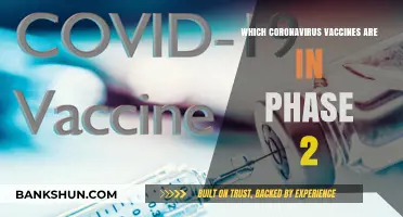 Advancing Hope: Coronavirus Vaccines in Phase 2 Trials