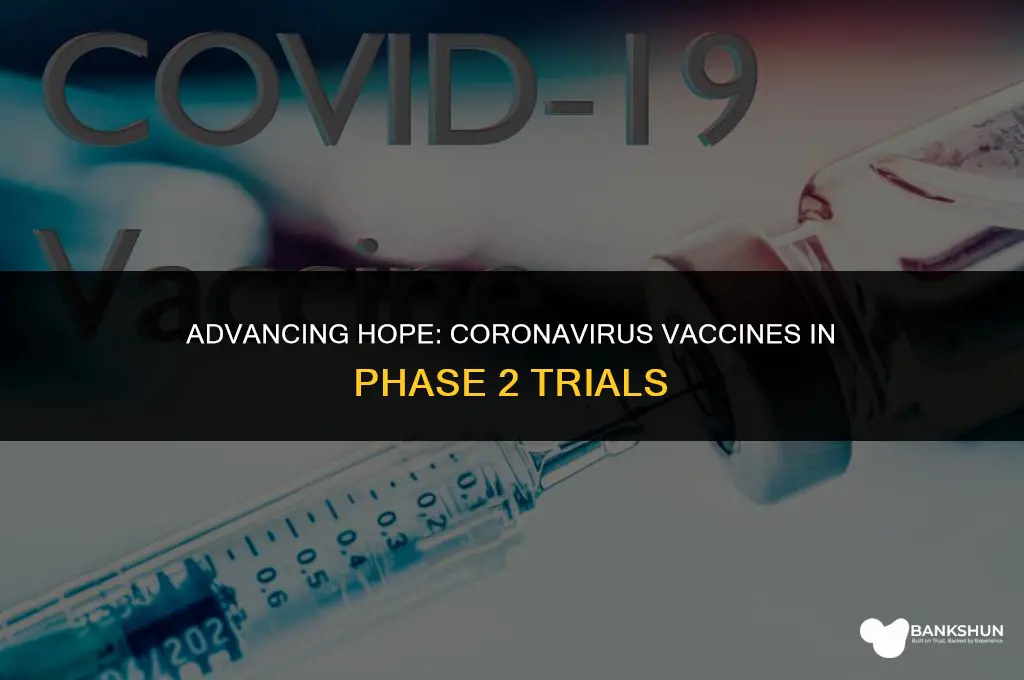 which coronavirus vaccines are in phase 2