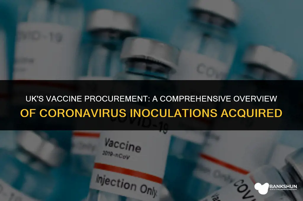 which coronavirus vaccines has the uk bought