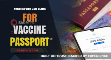 Travel Unveiled: Countries Requiring Vaccine Passports for Entry