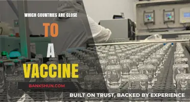 Global Race to Inoculation: Which Nations Lead the Vaccine Charge?