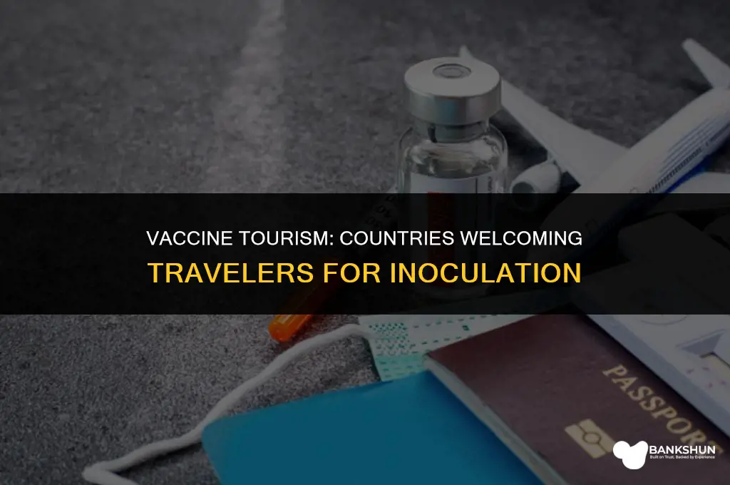 which countries are offering vaccines to tourists