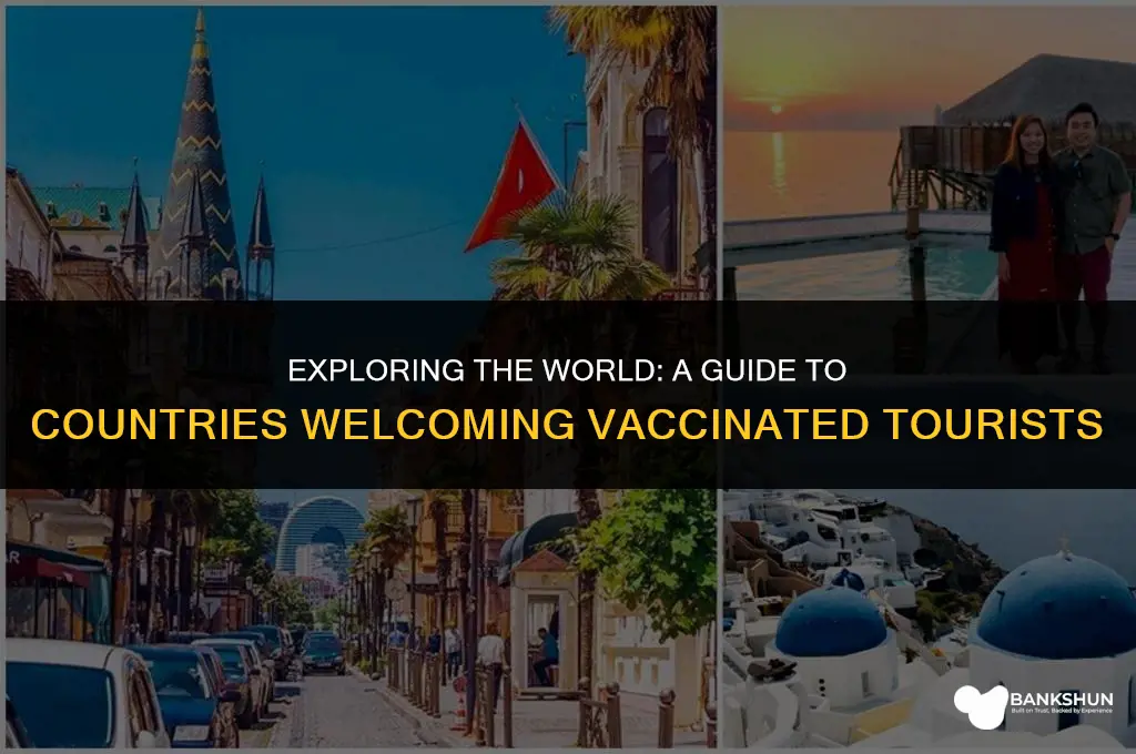 which countries are open for vaccinated tourists