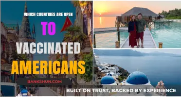 Exploring the Globe: Countries Welcoming Vaccinated American Travelers