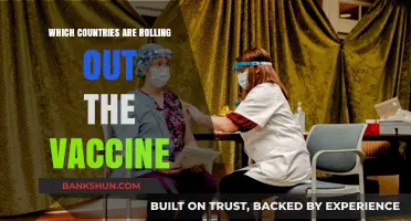 Global Vaccine Rollout: Which Nations Are Leading the Charge?