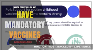 Exploring Global Vaccine Policies: A Guide to Non-Mandatory Countries