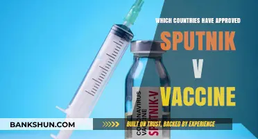 Global Approval: Countries Embracing the Sputnik V Vaccine