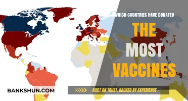 Global Vaccine Donations: Leading Countries in Combating the Pandemic