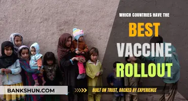 Global Vaccine Rollout: Which Nations Lead the Charge?