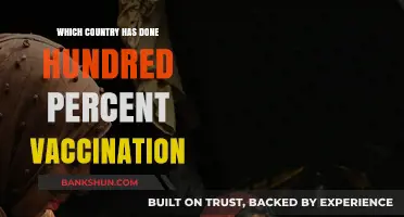 Global Health Triumph: Which Nation Achieved 100% Vaccination?