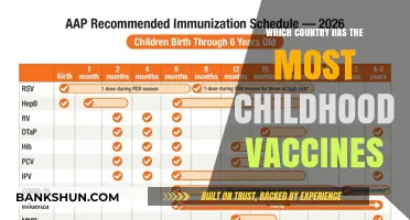 Global Childhood Immunization: Which Nation Leads the Way?
