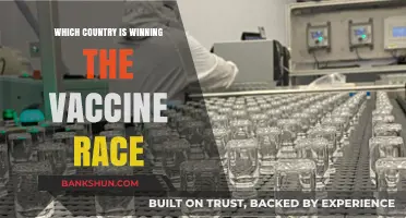 Global Vaccine Race: Which Nation Leads the Charge?