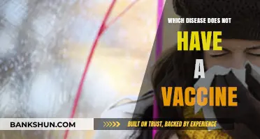 Exploring the Unvaccinated: Diseases Without a Protective Jab