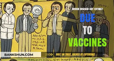 Vaccines' Triumph: Eradicating Diseases One Shot at a Time