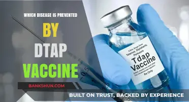 Shielding Against Pertussis: The Power of DTaP Vaccination
