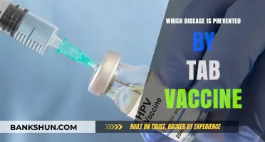 Protecting Against Cervical Cancer: The Power of the HPV Vaccine